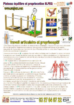 Plateau quilibre et proprioception
