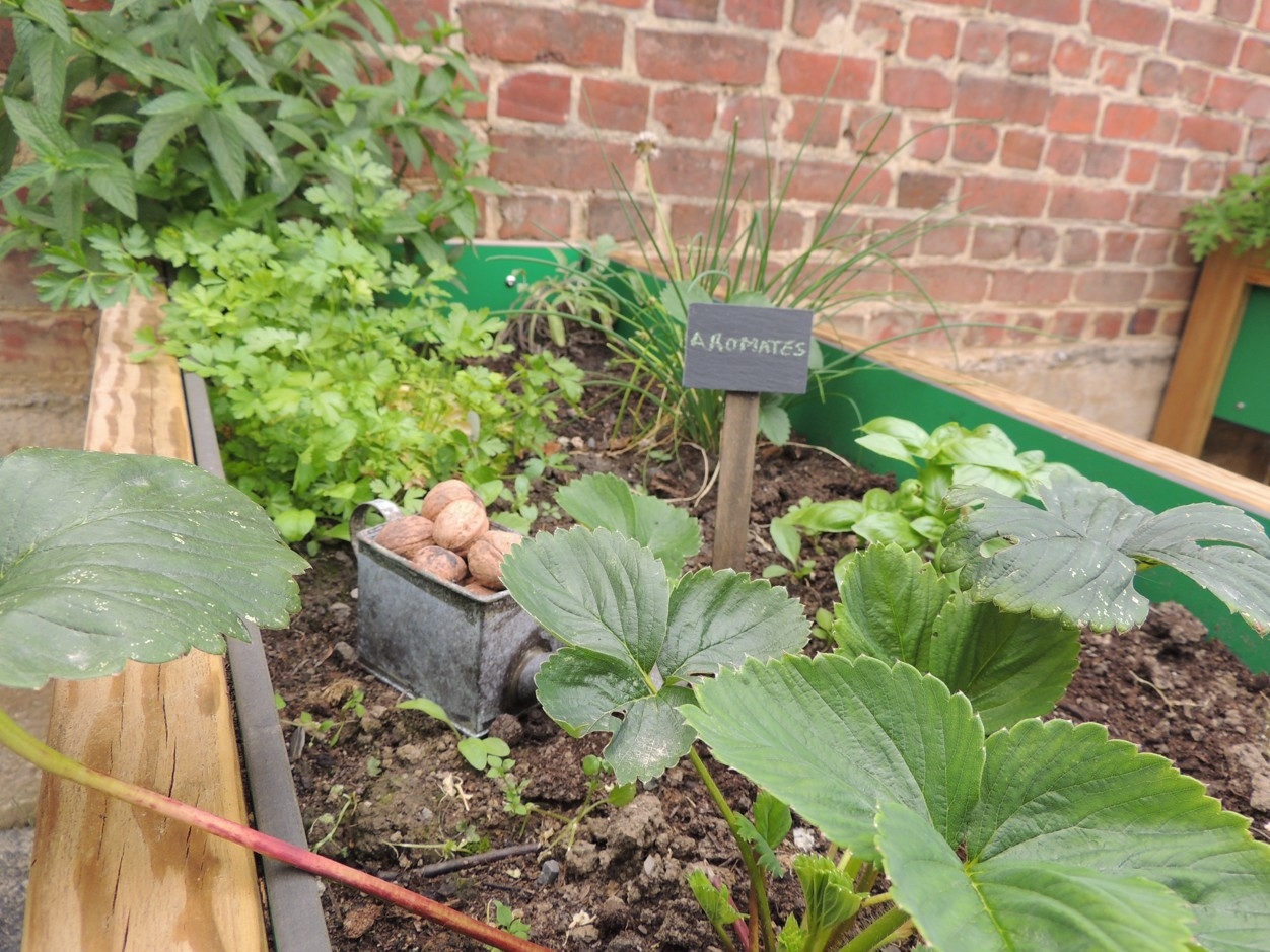 Lhortihrapie dans un jardin thrapeutique ou sensoriel